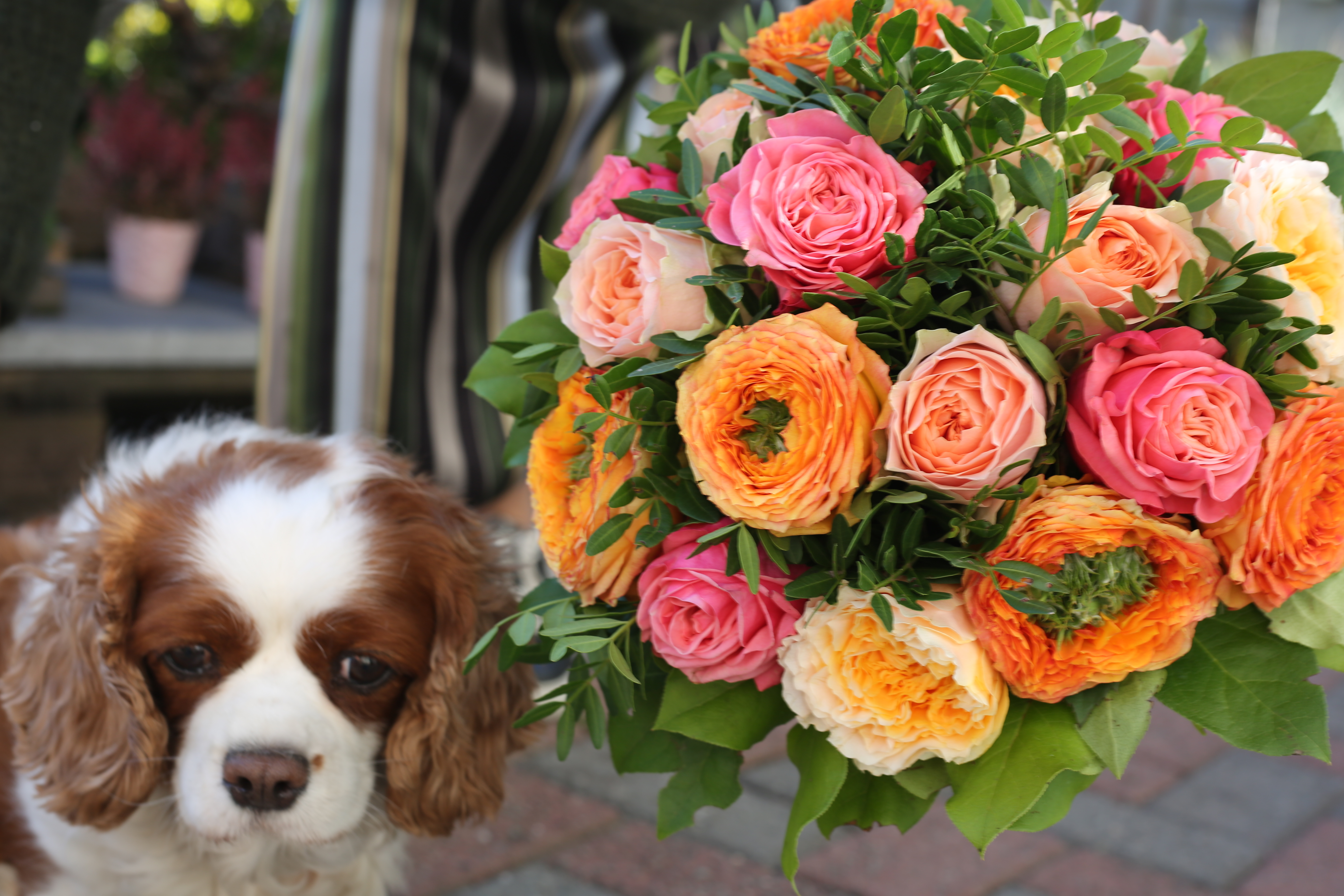 bloemenblad66 Rozenmix